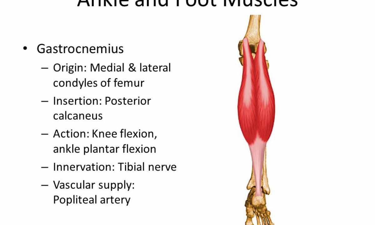 How to reduce the volume of gastrocnemius muscles